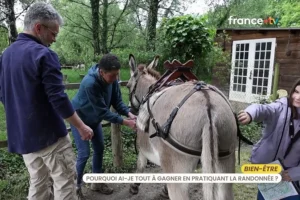 Découverte de la randonnée avec un âne